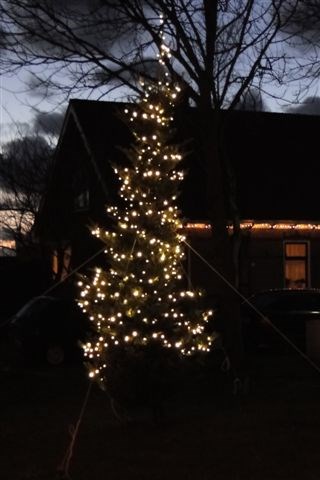 Kerstboom Stroet