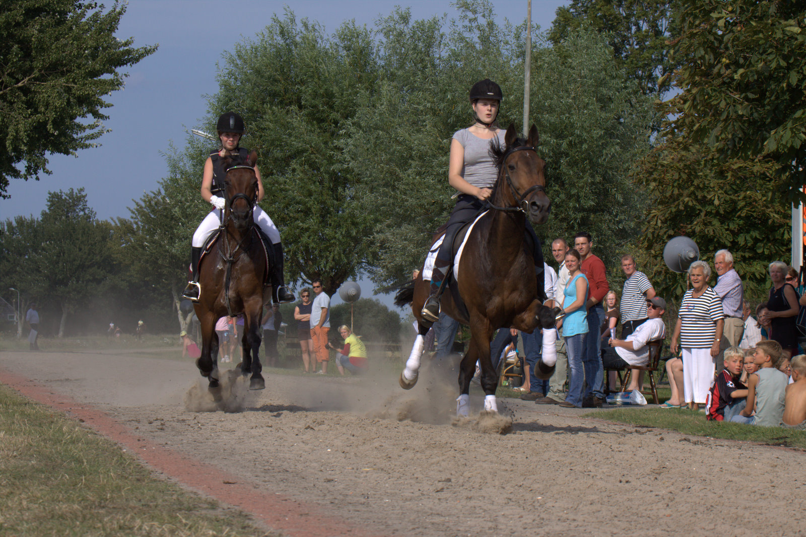 Harddraverij Stroet 2011