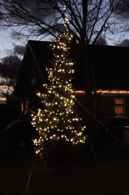 Kerstboom op brink Stroet 