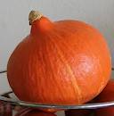 Uitslag pompoen gewicht raden