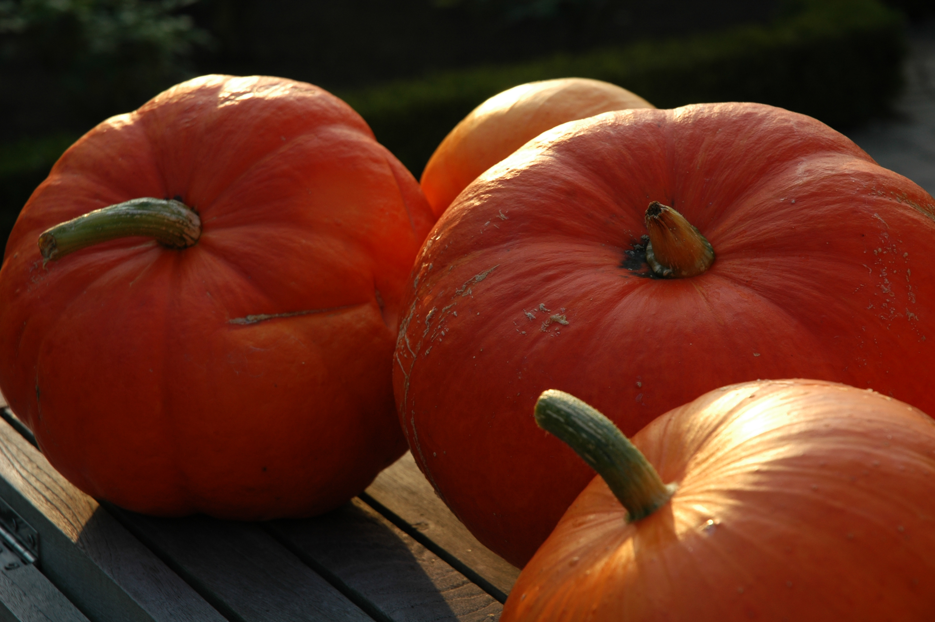 En de pompoen woog...