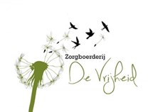 logoformaat-300x220