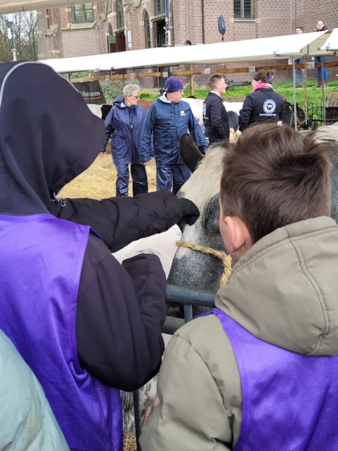 e494fb8e-7edb-43c7-84d7-b91e96227224