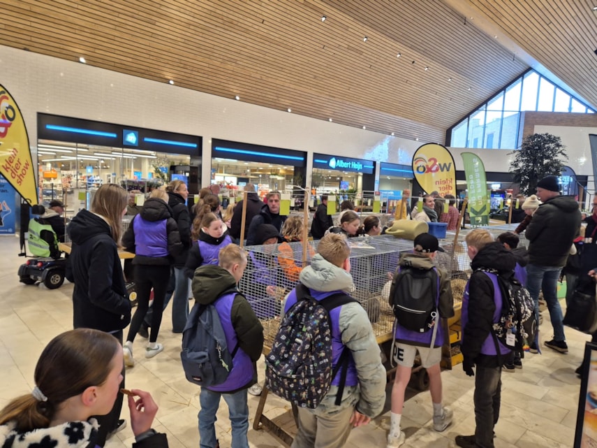 bfff055d-9f10-40ec-a046-dbff0ee200ca