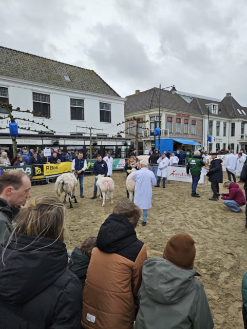 981e77da-636a-4434-8ae4-b9941f80dddc