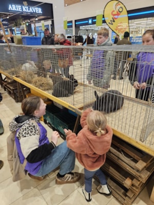 79c2b245-1c77-49ac-9b9f-46311ff04717